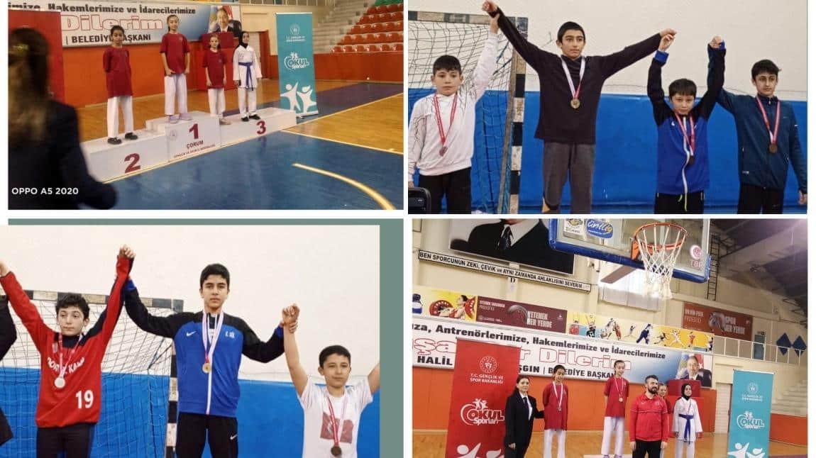 Okullar Arası Tekvando ve Güreş Müsabakalarında Şampiyon Olan Öğrencilerimiz